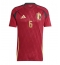 Belgien Axel Witsel #6 Replika Hemmatröja EM 2024 Kortärmad