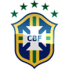 Brasilien VM 2026 Dam