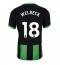 Brighton Danny Welbeck #18 Replika Tredjetröja 2024-25 Kortärmad