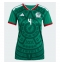 Mexiko Edson Alvarez #4 Replika Hemmatröja Dam VM 2026 Kortärmad