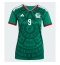 Mexiko Raul Jimenez #9 Replika Hemmatröja Dam VM 2026 Kortärmad