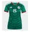Mexiko Roberto Alvarado #25 Replika Hemmatröja Dam VM 2026 Kortärmad