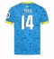 Wolves Tolu Arokodare #14 Replika Tredjetröja 2025-26 Kortärmad